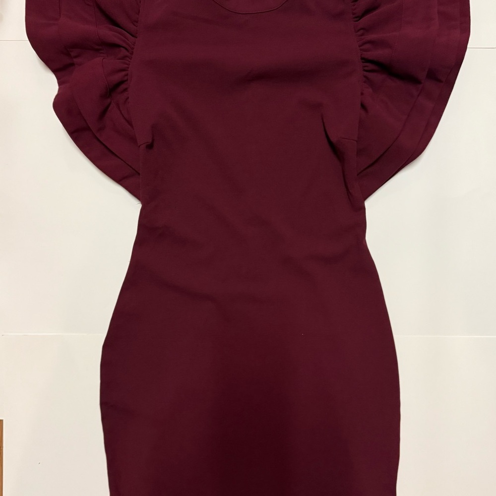 Xtaren Maroon Short Ruffle Sleeve Dress